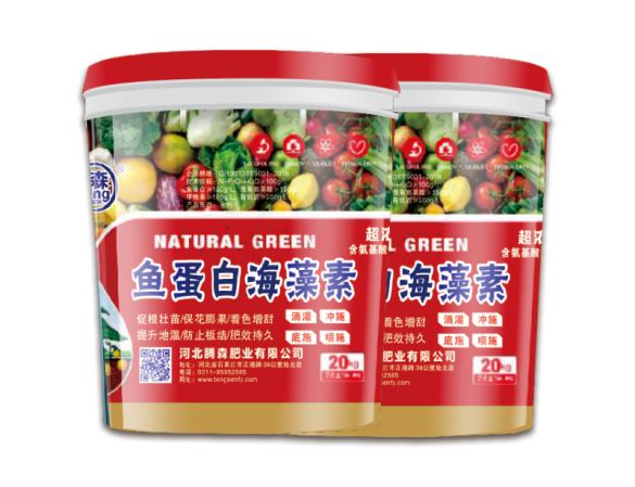 鱼蛋白海藻素_鑫腾森